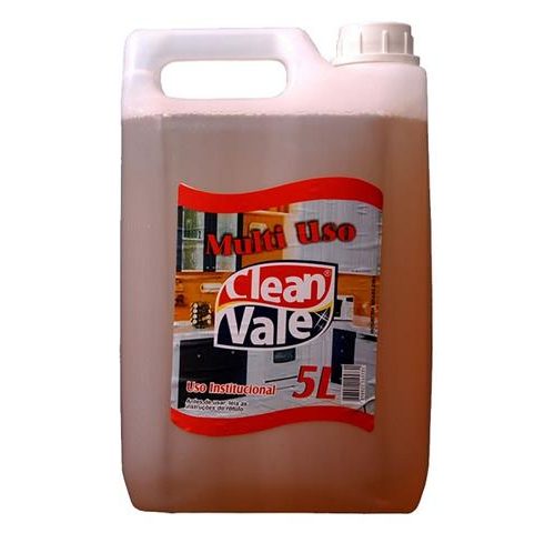 LIMPADOR MULTIUSO CLEAN VALE - BB C/5 L